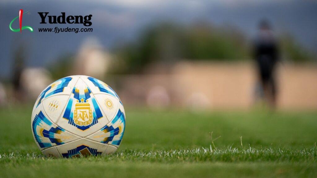 Fifa-Grade Performance Leather: The Secret To High-Rebound Soccer Ball Pu
