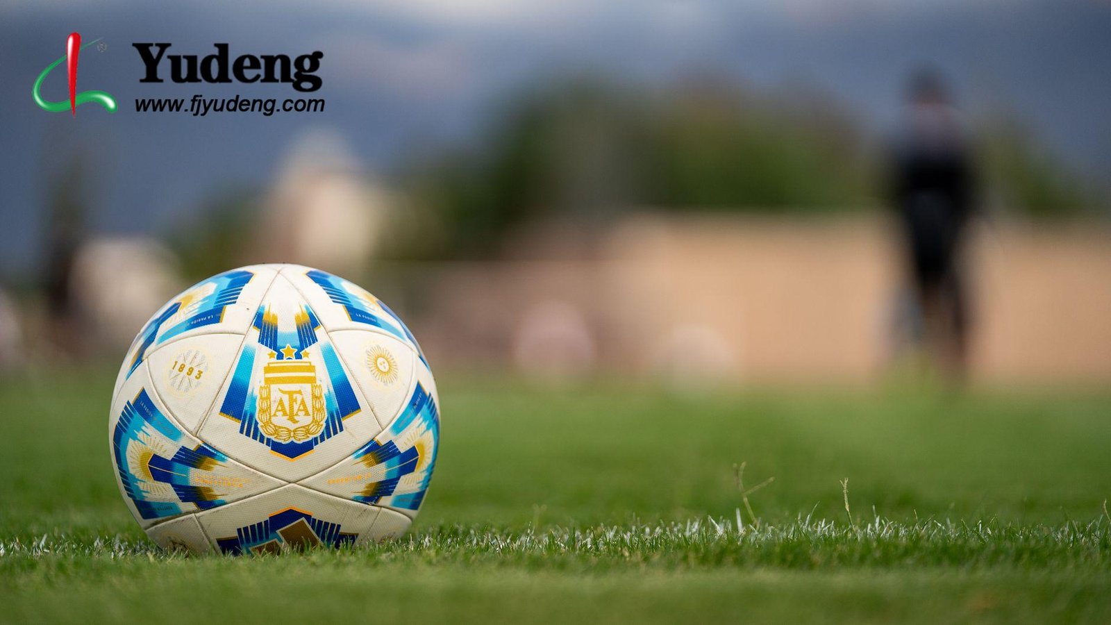 Fifa-Grade Performance Leather: The Secret To High-Rebound Soccer Ball Pu