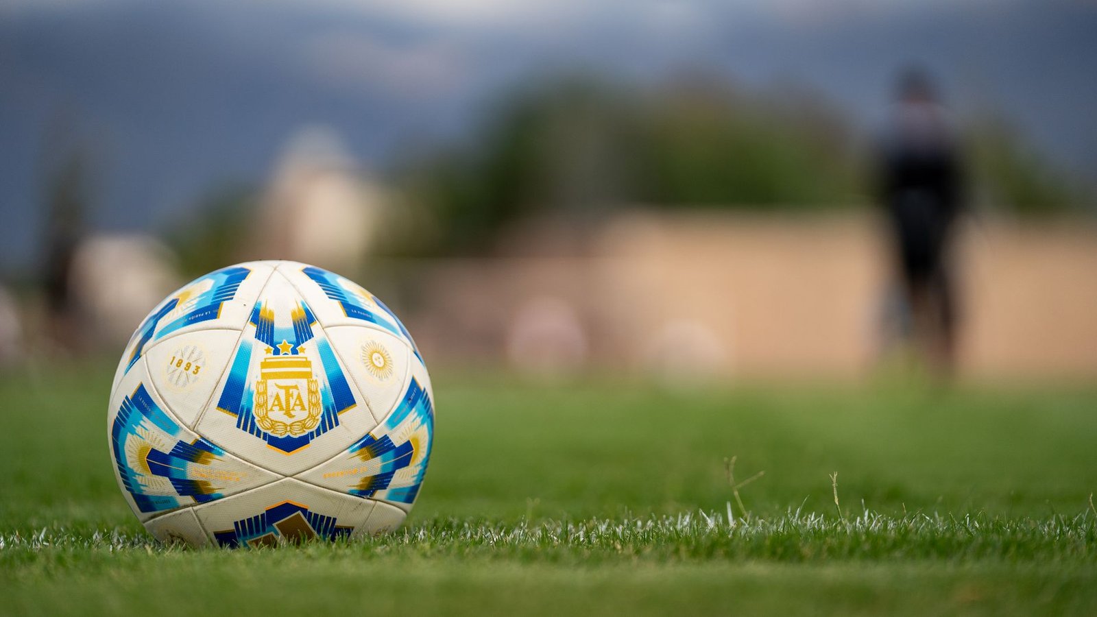 Fifa-Grade Performance Leather: The Secret To High-Rebound Soccer Ball Pu